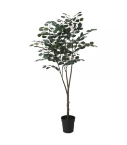درختچه اوکالیپتوس ایکیا مدل FEJKA با طراحی مدرن